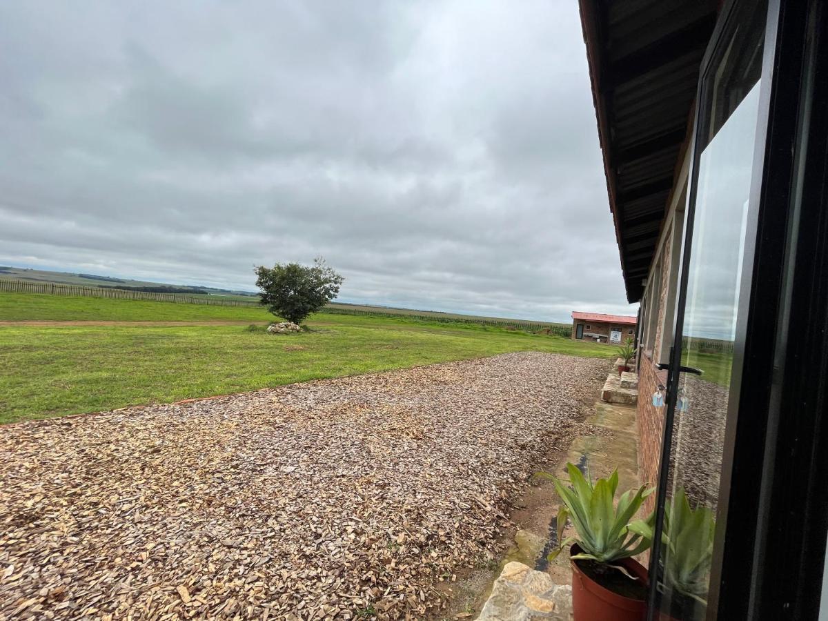 Dewdrop Farm Stay Ermelo Kültér fotó
